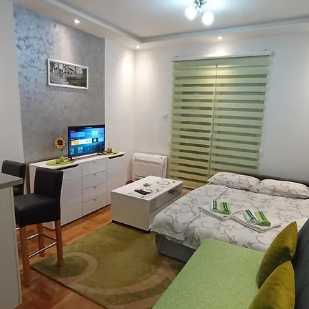 Apartment Leo 11 *