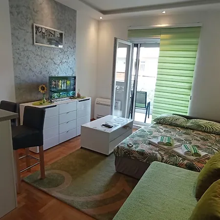 Leo 11 Apartment